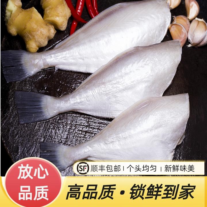 大号剥皮鱼/耗儿鱼 新鲜杀完1斤3条。送八爪鱼顺丰空运包邮