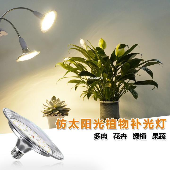 仿太阳光全光谱植物生长补光灯三角梅月季多肉热植菊花海芋百香果