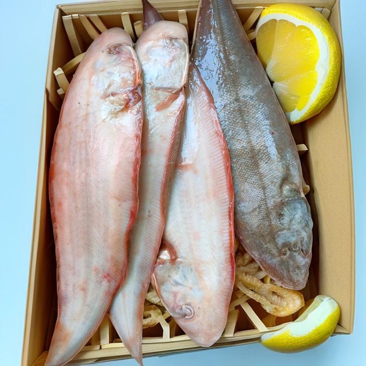 野生细鳞鳎目鱼 大号！野生品质口感好 津京冀速达~6斤