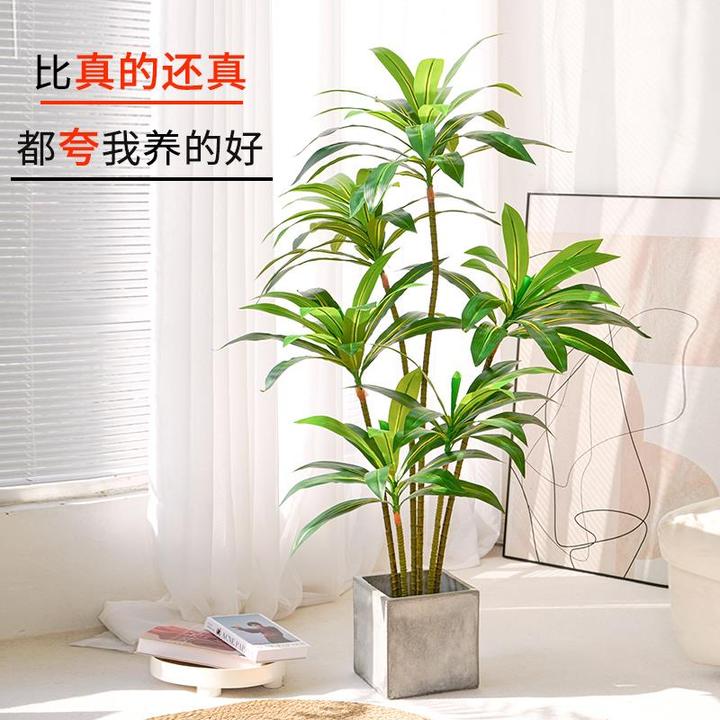 仿真绿植巴西木高端轻奢仿生植物室内盆栽客厅落地装饰摆件假树