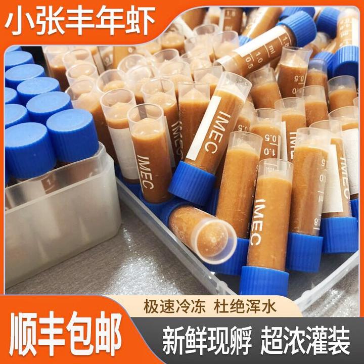 丰年虾幼虫品质超浓新鲜现孵灯鱼同款孔雀鱼鱼苗开口饲料下单