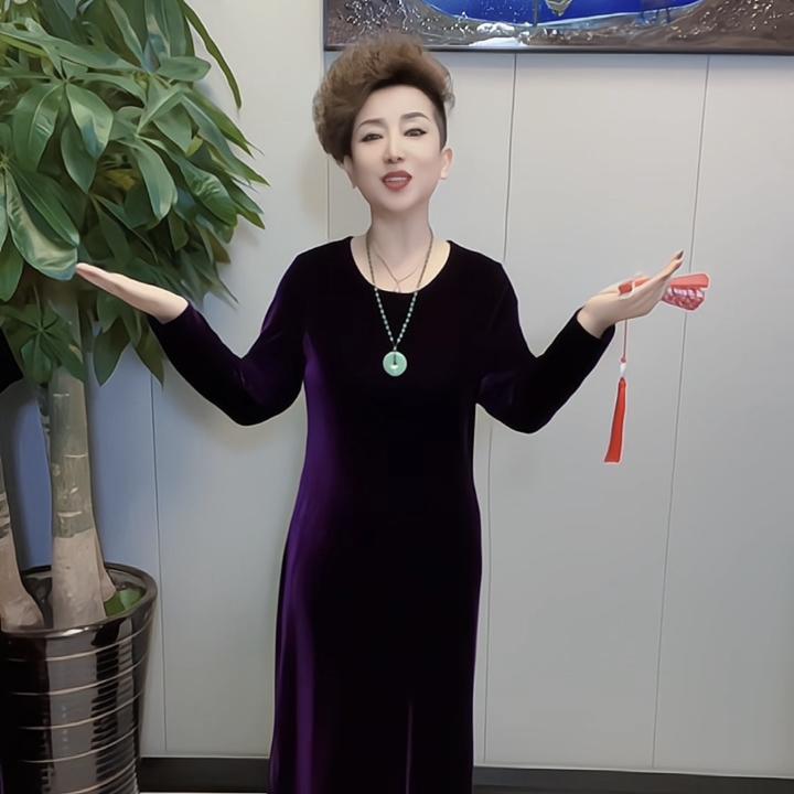 378高档丝绒纯色圆领气质连衣裙长袖时尚洋气宽松显瘦遮肉弹力大