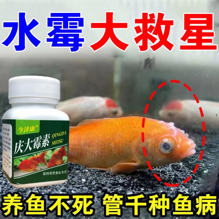 【急救】庆大霉素水霉白毛白点净观赏鱼水霉蒙眼烂尾烂鳃不伤鱼儿