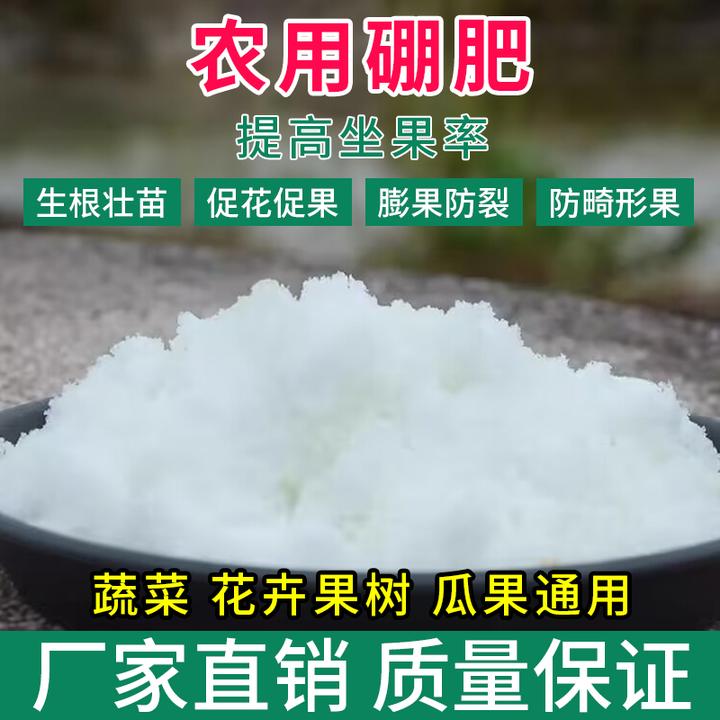 农用阳台种菜养花肥料庭院硼肥预防黄叶黄化提高作物品质口感绿叶