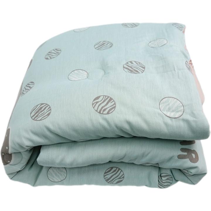 纯棉A类双层纱秋冬双面款单人小被子120*150cm加厚大豆被可机洗