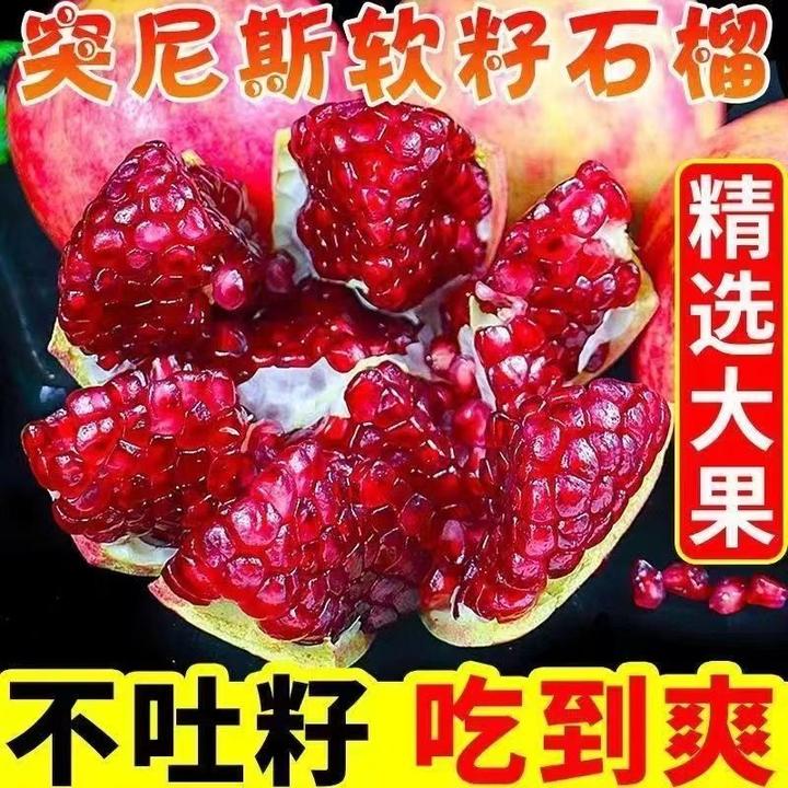 （主播推荐1）四川会理突尼斯软籽石榴5斤新鲜采摘