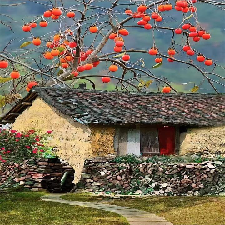 【糖糖推荐】农村老房子3D立体效直播背景布网红新款直播背景墙雪景