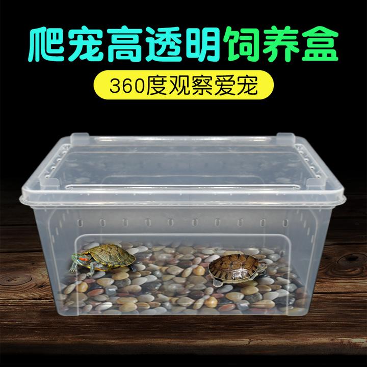 爬宠饲养盒两栖螃蟹守宫角蛙蜘蛛大号乌龟饲养箱带爬台造景爬虫盒
