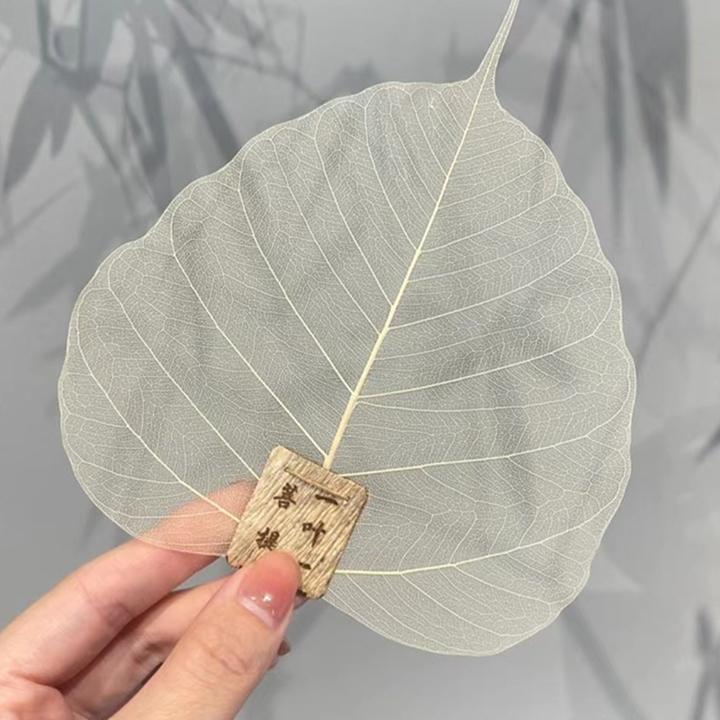 惊蛰 茶漏天然菩提叶创意茶具配件过滤网滤茶器漏斗树叶子茶滤