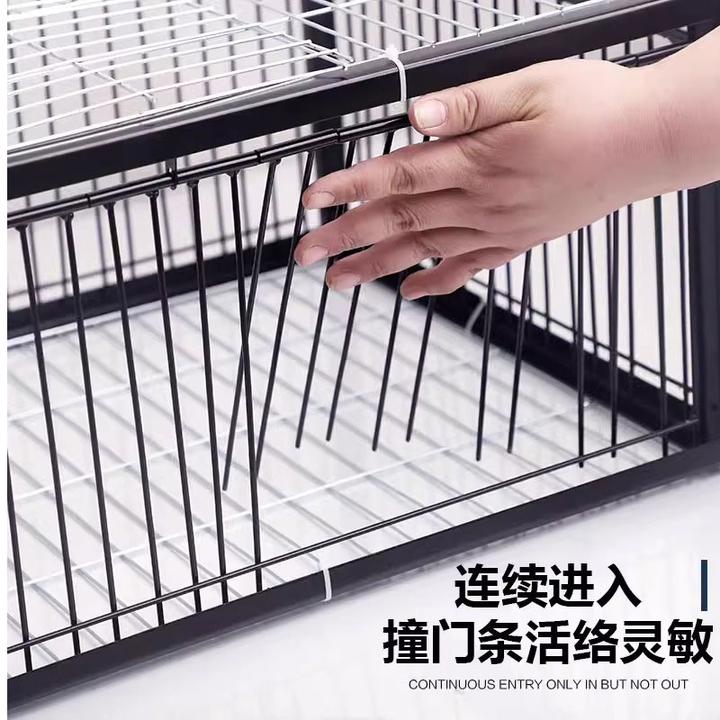 家用养殖鸽子笼2cm间距撞门加密防锈烤漆材质厂家直销家禽养殖笼