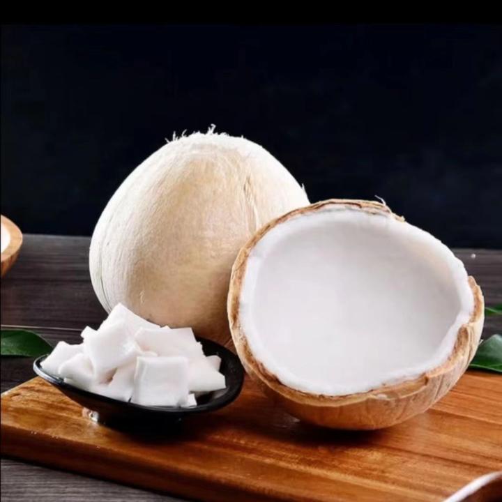 【泰国核心产区牛奶椰皇】水质清澈每个精选中果4/6个装泰国椰皇