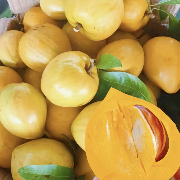 直播间一物一拍鸡蛋果树苗