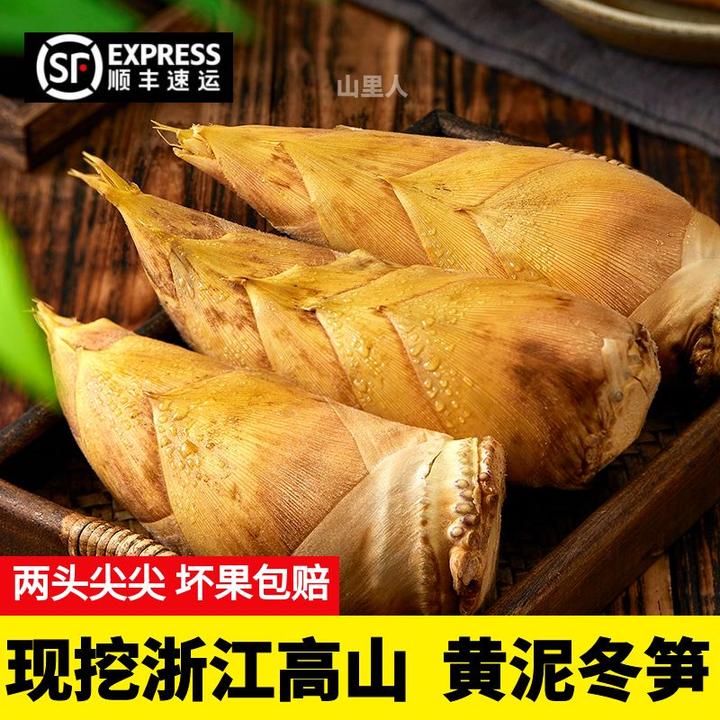 浙江冬笋新鲜现挖毛竹笋鲜笋当季时令蔬菜2024高山黄泥笋竹笋顺丰