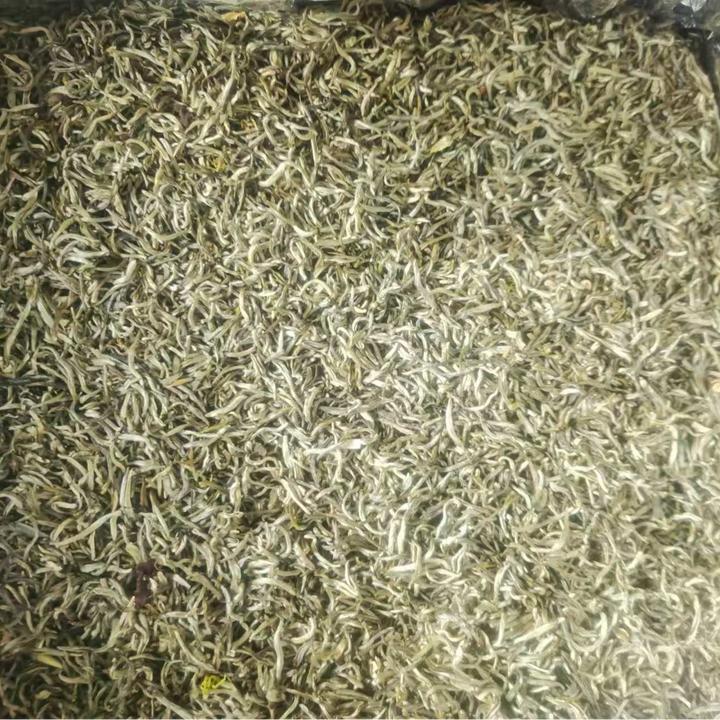 阳春雪 浓香鲜爽 口舌生津 芽叶肥厚带茶毫 香气十足