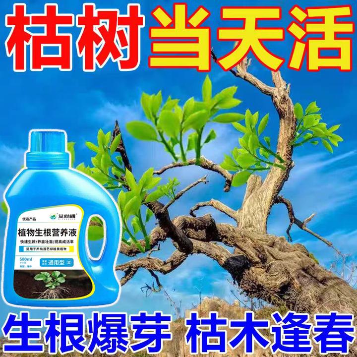 死树3年三滴救活 大树成活营养液枯树烂根黄叶烂苗生根液水复活液