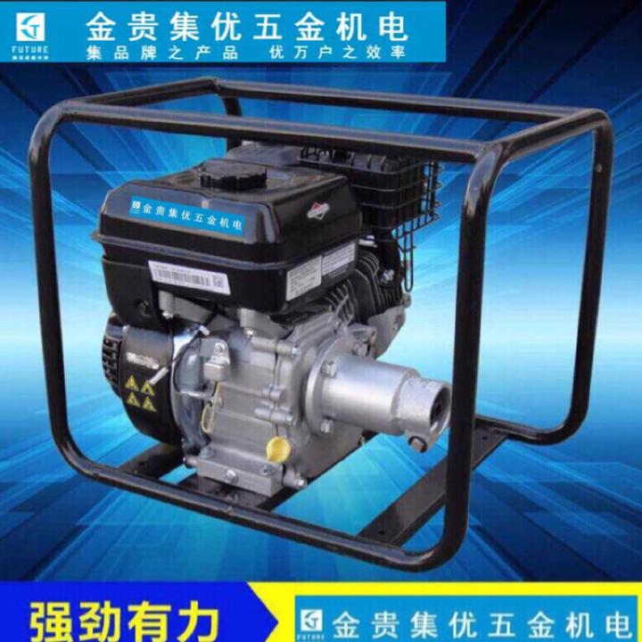 汽油插入式振动机小型汽油机汽油振动器汽油震动器(不带棒头)