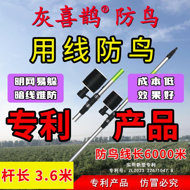 灰喜鹊灰喜鹊一根线防鸟防鸟线拉线驱鸟神器果园防鸟农田赶鸟养殖