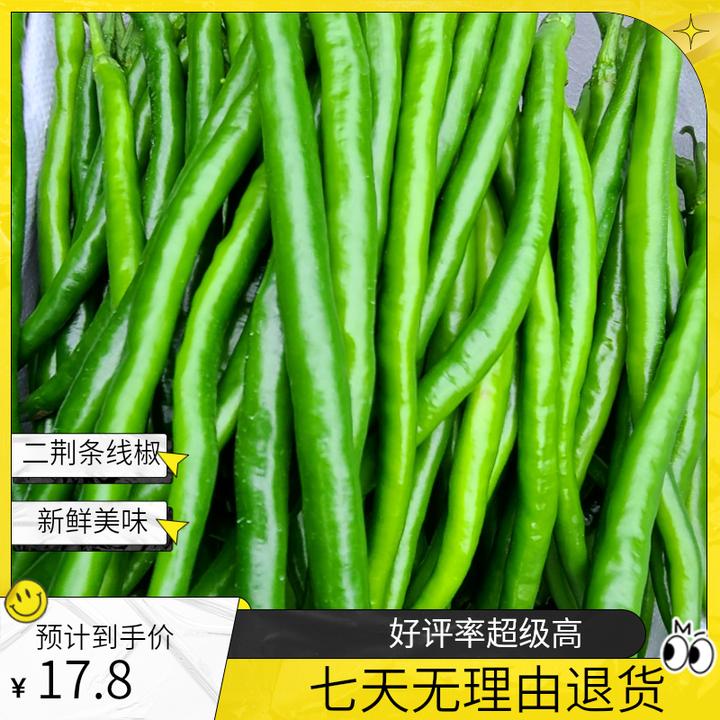 【中辣】二荆条线椒 新鲜 美味 香辣包邮 精选现摘采现发