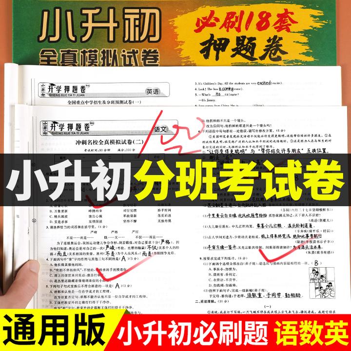 小升初真题卷2025必刷题人教版初一入学分班必刷卷语文数学英语小