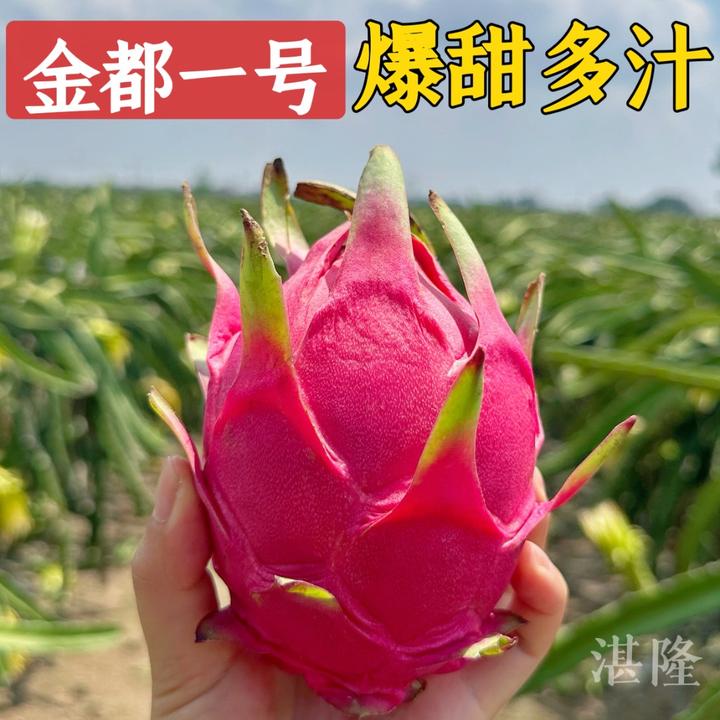 金都一号红心火龙果果新鲜5斤/2斤鲜甜果园现摘直发
