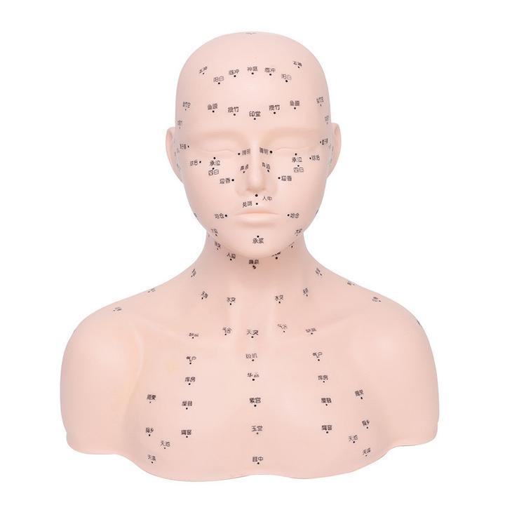 【到货领面部手法】头模特美容院练习手法假人头新手学习模具头