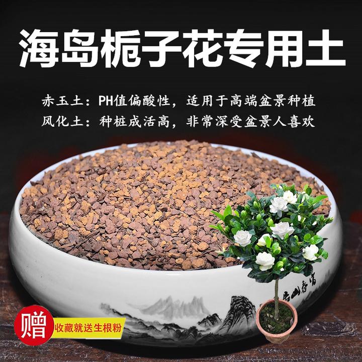海岛栀子花专用土赤玉土风化土颗粒土酸性土红土盆景专用营养土