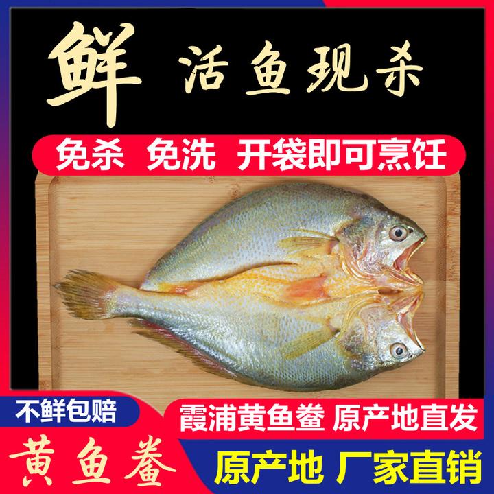 【6+3到手9条】霞浦 黄鱼鲞 咸香大黄鱼 黄花鱼 200g-249g/条