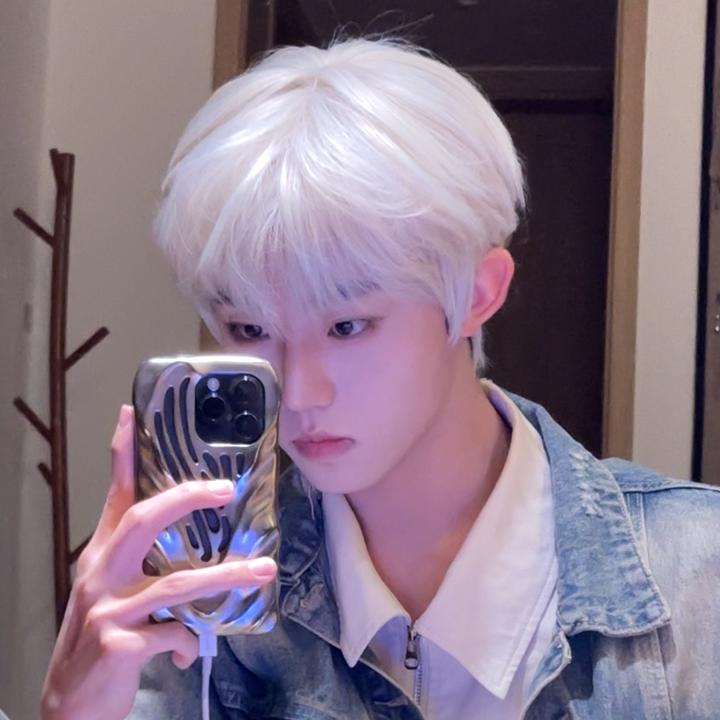 【日系男大】MEISU也萌假发白金亚麻色帅气蓬松微分碎盖男全头套式