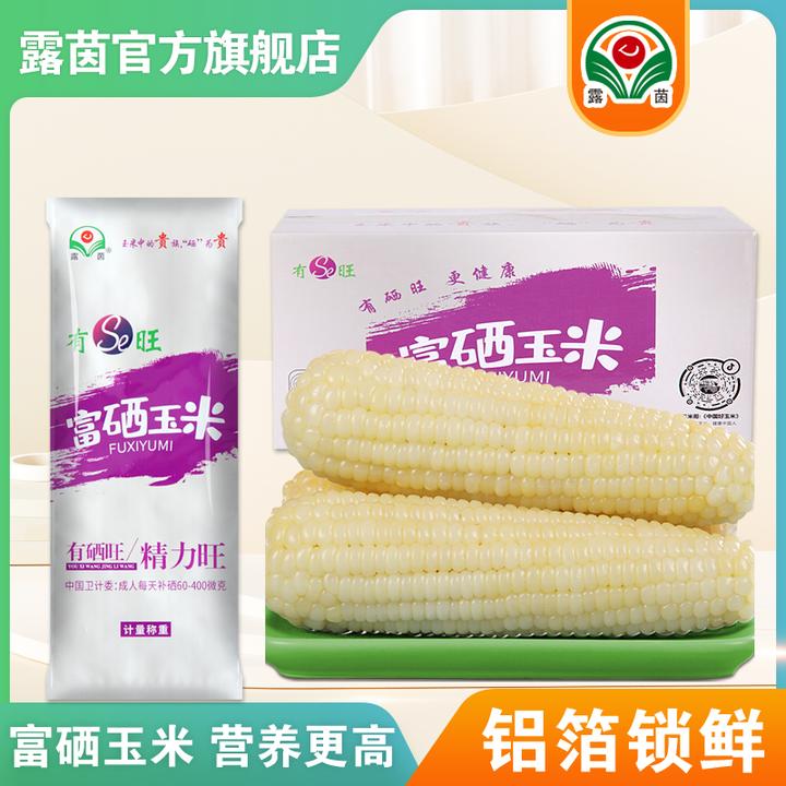 【露茵】富硒380大白糯玉米非转基因 新鲜香甜 轻食代餐 冬日火锅