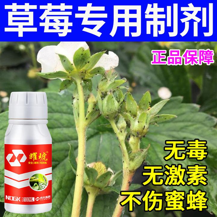 耀琥草莓虫害专用抗性蓟马红白蜘蛛不伤蜂不伤花果纯生物制剂