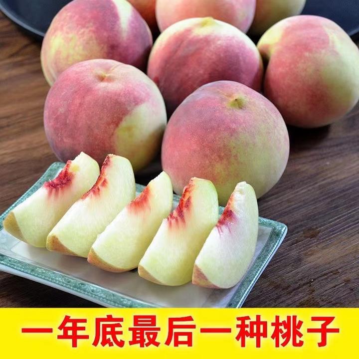 山东天宝山冬桃冬桃脆桃毛桃脆甜应季孕妇水果新鲜甘甜精品