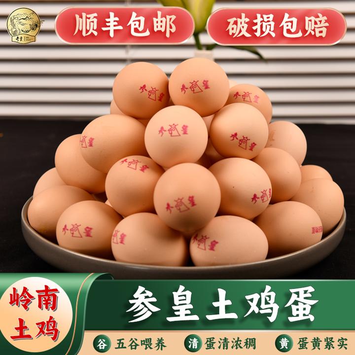 参皇土鸡蛋 新鲜土鸡蛋 当天鲜鸡蛋新鲜 包邮配送农产品五谷喂养