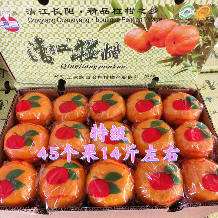 正宗湖北长阳清江椪柑特级45个中果自产精品包赔水果