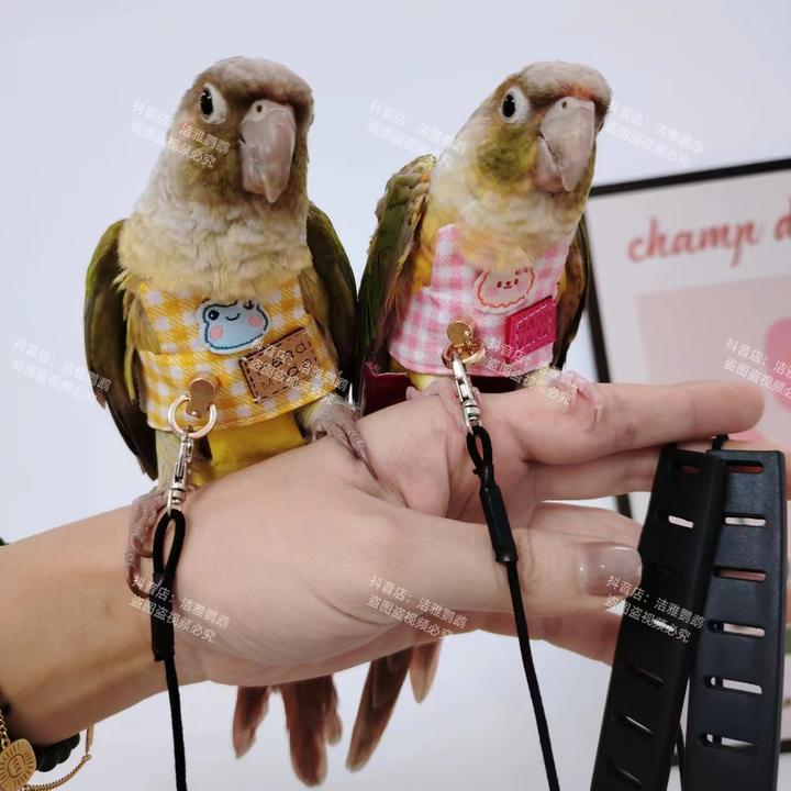 宠物鹦鹉鸟超轻背带背心外出牵引衣服防止飞丢飞行服
