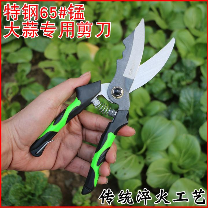 大蒜专用剪刀大蒜剪洋葱蒜胡冬麦剪大蒜的剪子剪大蒜神器蒜剪子