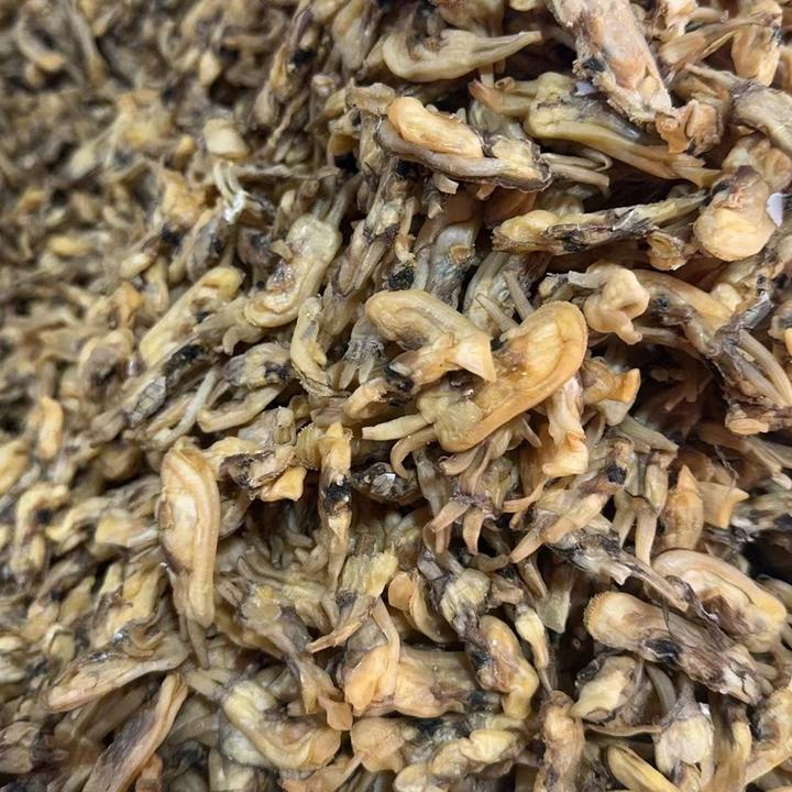 2025新货本地蛏干干货福建莆田海鲜无沙蛏干煲汤火锅食材炒蛏子干