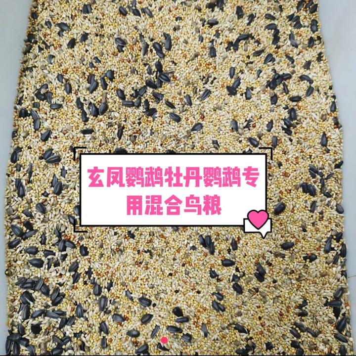 玄凤牡丹鹦鹉初级农产品种子鸟粮