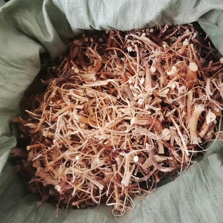 广西野生五指毛桃圆片新鲜晒干干货五指毛桃祛湿产地直销