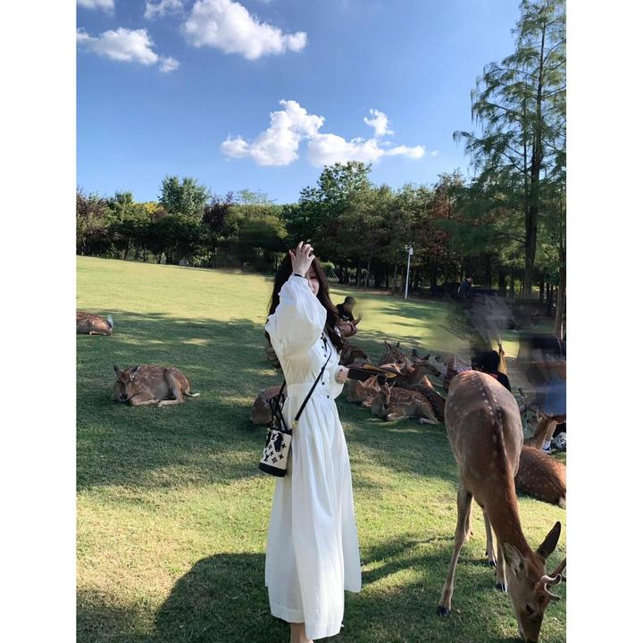 3340早秋季新款法式气质圆领收腰显瘦不规则单排扣纯色连衣裙女潮