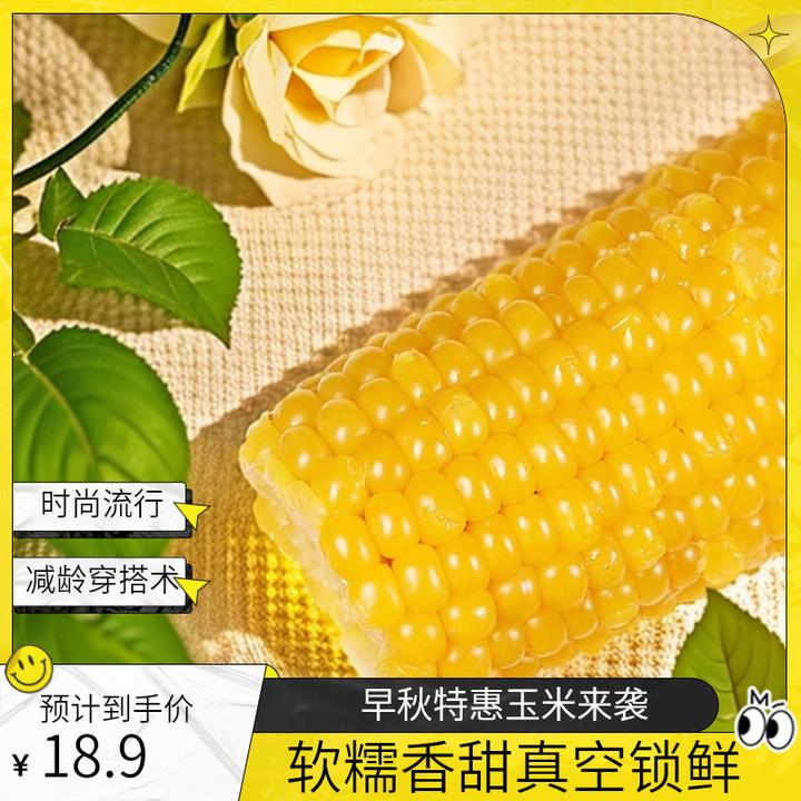【8 &10】黄糯玉米单根260-350g软糯香粘甜真空锁鲜蒸煮火锅烧烤吃