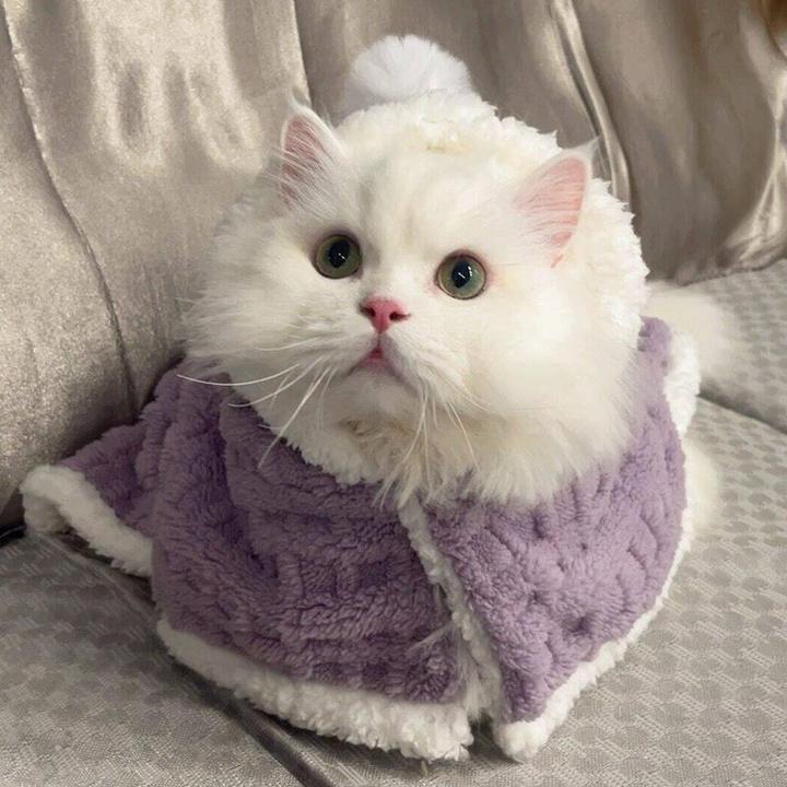 猫咪睡觉毯子布偶猫冬季保暖被子垫子小奶猫专用披风加绒斗篷睡袍