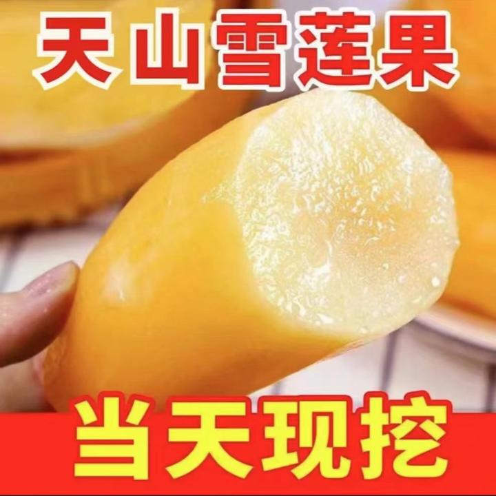 【特忦】云南正宗高原天山雪莲果爆脆甜新鲜水果当季整箱批发包邮