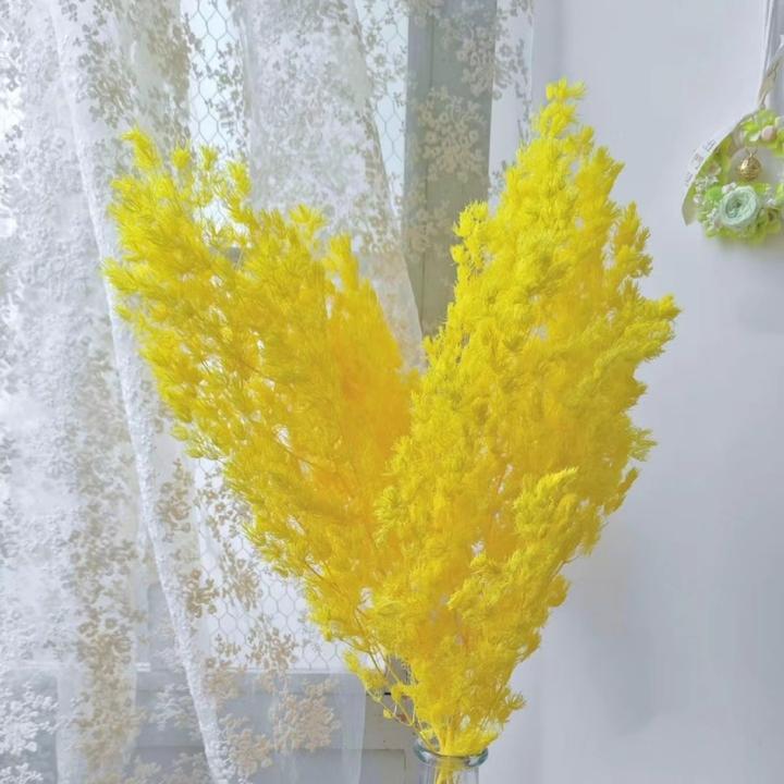 永生蓬莱松ins风婚礼布置年宵花家居装饰展示花店花束搭配手工DIY