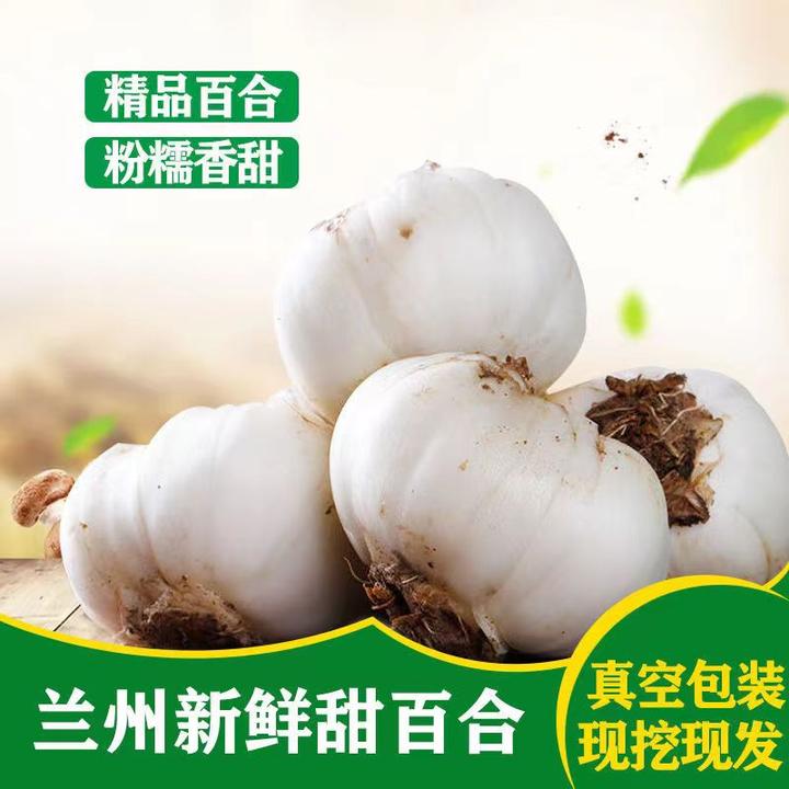 【陇上金康】水果现挖兰州甜三头皇鲜新鲜百合的吃法和生吃做法