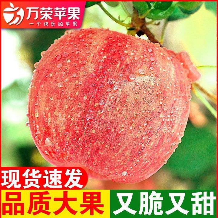 京东山西运城“纸加膜”红富士苹果 双袋无农残 皮薄肉厚 脆甜多汁