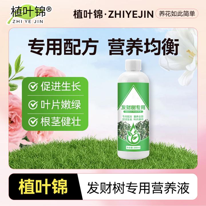 发财树专用营养液预防黄叶掉叶烂根氮磷园艺钾复合肥促芽促根绿油
