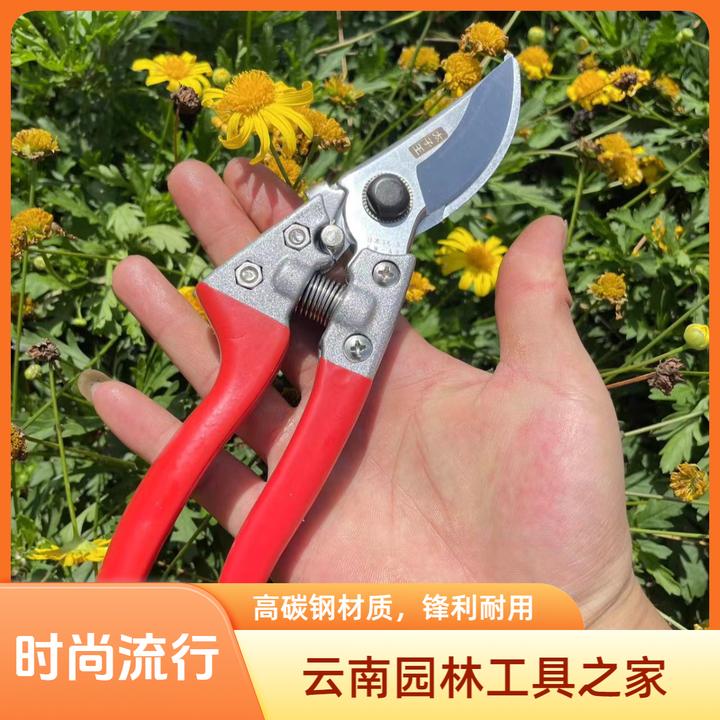 太子王修枝剪果树修枝剪家用修枝剪德国进口钢SK-5钢太子王修枝剪