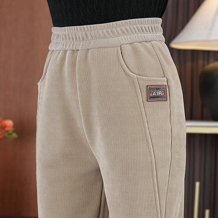 秋冬哈伦裤加绒休闲裤2024新款显瘦高腰直筒保暖长裤宽松小脚裤