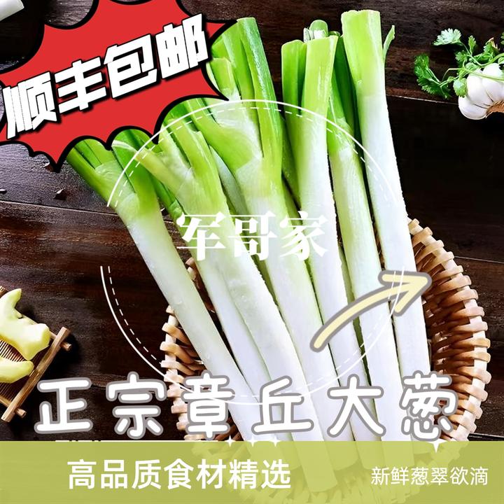 正宗山东章丘大葱新鲜当季大葱微辣脆甜绿色蔬菜产地直发山东大葱