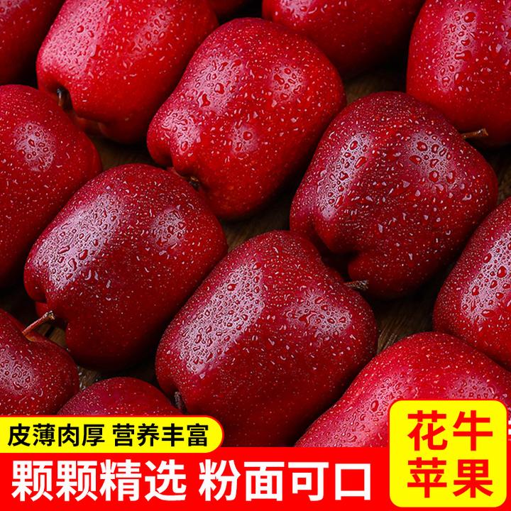 甘肃天水高山花牛苹果顺丰（新果）